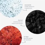 Daily Superfoliant 13g_2