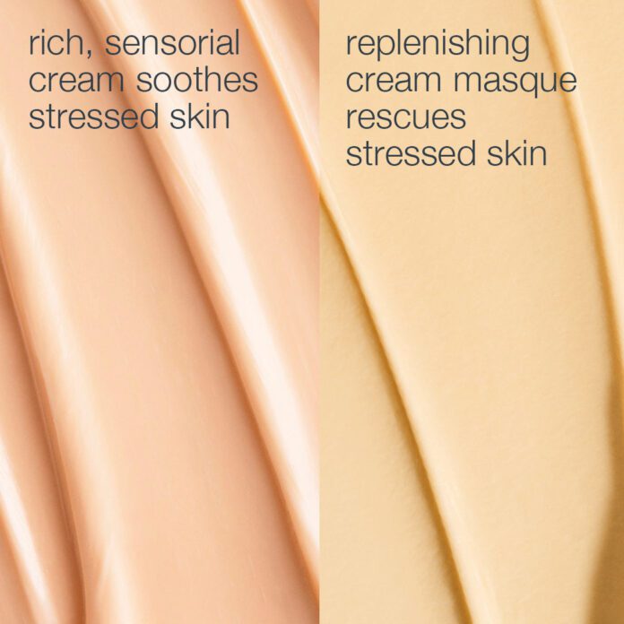 Dermalogica Stressed Skin Recovery System – product image 2