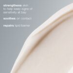 Dermalogica Stabilizing Repair Cream Jumbo (100ml) – product image 2