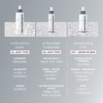 Dermalogica Antioxidant Hydramist Jumbo (250ml) – product image 4